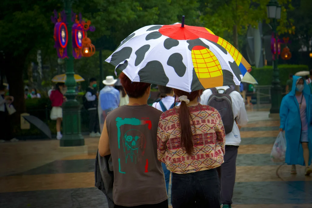 雨の日のディズニーリゾート
